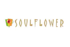 soulflower-coupon-promo-code