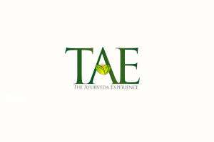 the-ayurveda-experience-coupon-promo-code